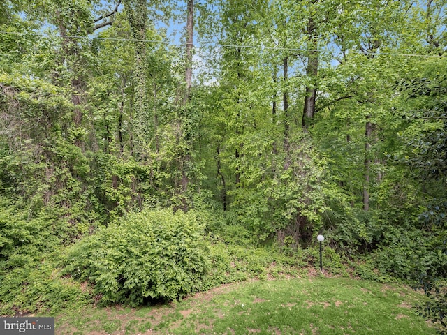 view of tree filled area