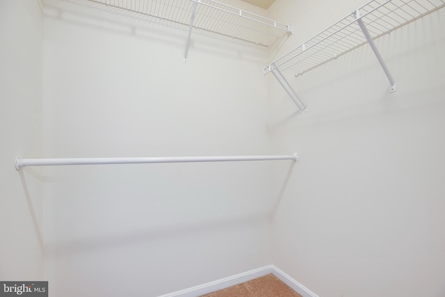 2527 Campus Way N Unit 69, Lanham, MD 20706 - spacious closet with carpet flooring