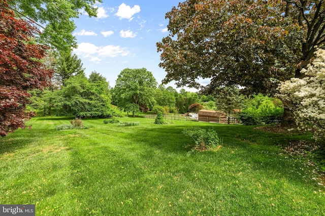 view of yard
