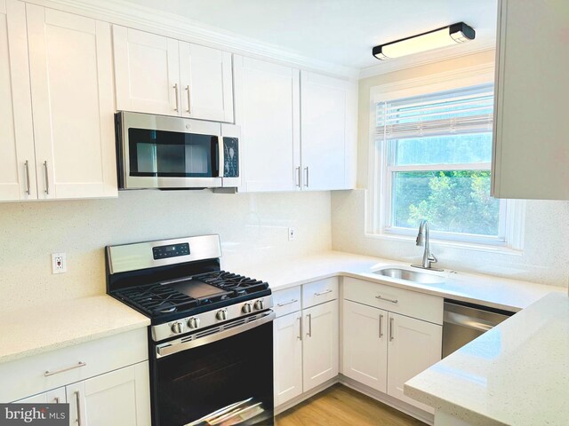 442 E Slocum St, Philadelphia, PA 19119 - kitchen featuring appliances with stainless steel finishes, a sink, white cabinets, and crown molding