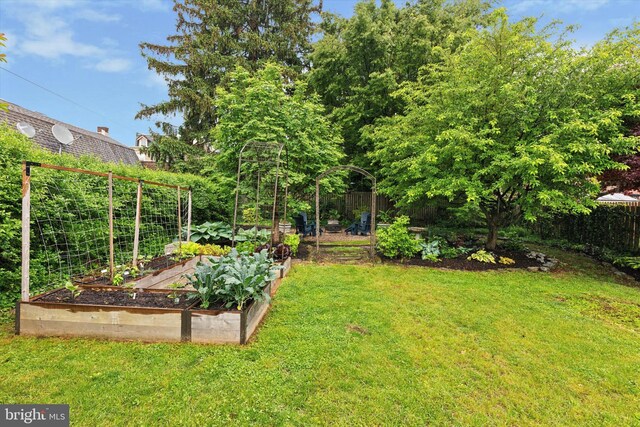 214 E Willow Grove Ave, Philadelphia, PA 19118 - view of grassy yard featuring a garden