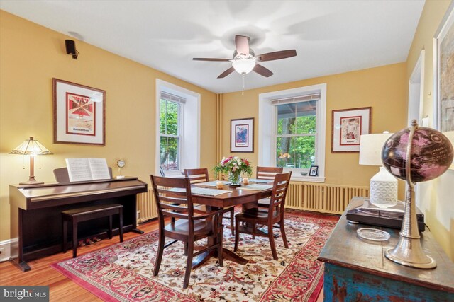 214 E Willow Grove Ave, Philadelphia, PA 19118 - dining room with plenty of natural light, wood finished floors, a ceiling fan, and radiator heating unit