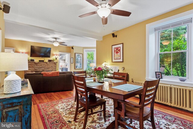 214 E Willow Grove Ave, Philadelphia, PA 19118 - dining space featuring ceiling fan, wood finished floors, and radiator