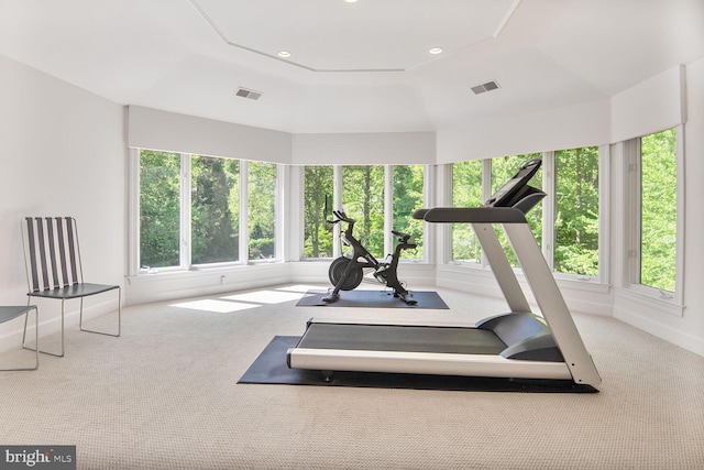 7845 Montvale Way, Mclean, VA 22102 - workout area featuring plenty of natural light, carpet flooring, a raised ceiling, and recessed lighting