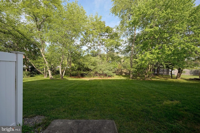 36 Crows Nest Ct, Mount Laurel, NJ 08054 - view of yard
