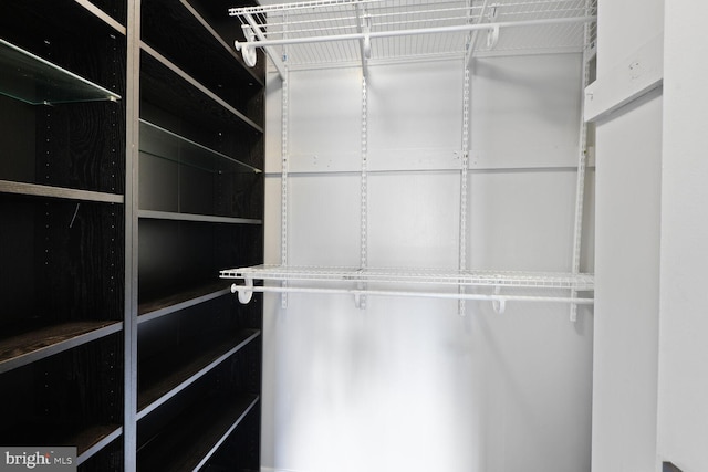 4425 Romlon St Unit 103, Beltsville, MD 20705 - view of spacious closet