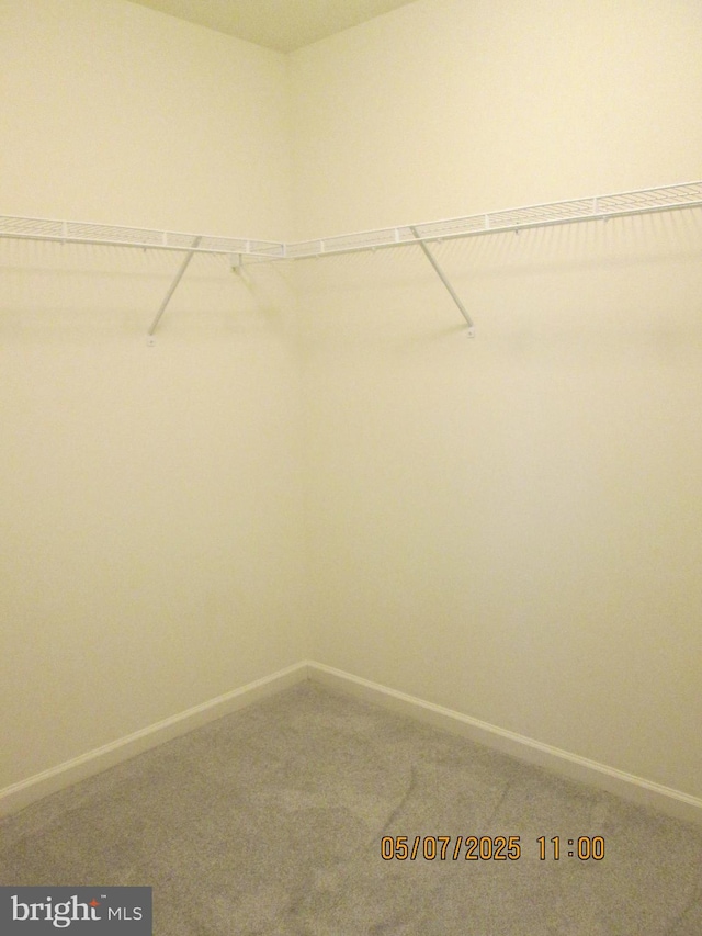 spacious closet with carpet
