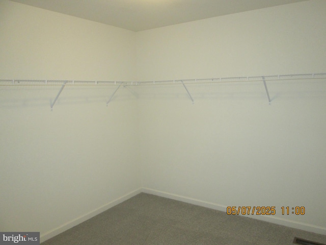 walk in closet with carpet