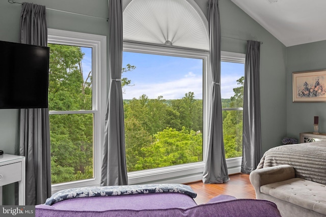 bedroom featuring lofted ceiling, multiple windows, and wood finished floors