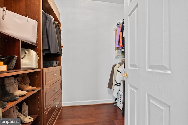 spacious closet with dark wood finished floors
