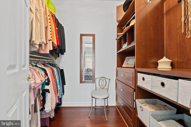spacious closet featuring dark wood-style flooring