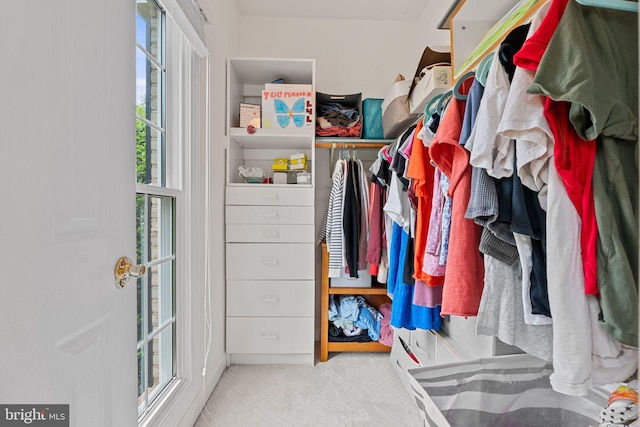 walk in closet featuring carpet