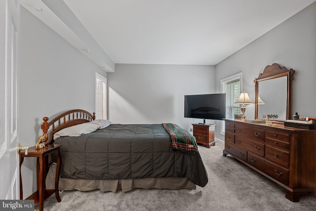 bedroom featuring carpet flooring