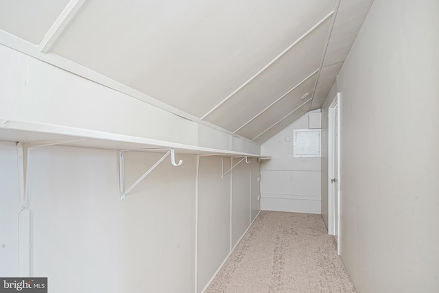 walk in closet with lofted ceiling and carpet flooring