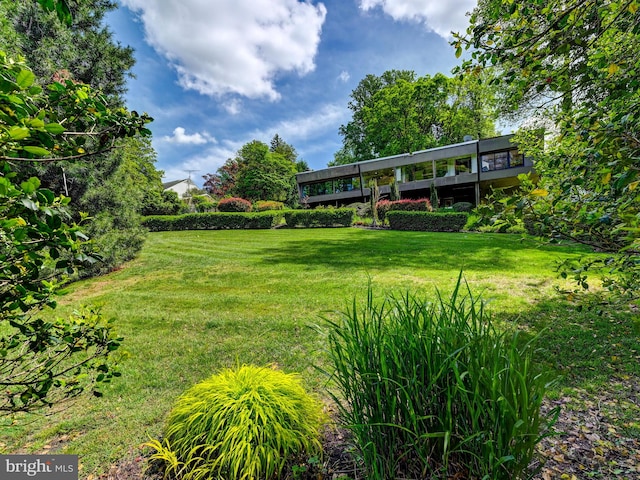 2025 Skyline Rd, Towson, MD 21204 - view of grassy yard