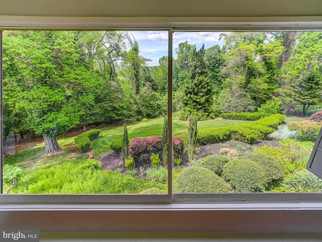 2025 Skyline Rd, Towson, MD 21204 - view of yard