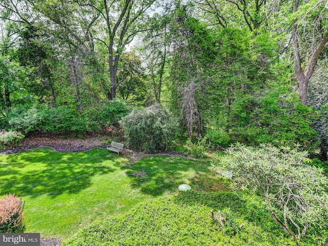 2025 Skyline Rd, Towson, MD 21204 - view of green lawn with a view of trees
