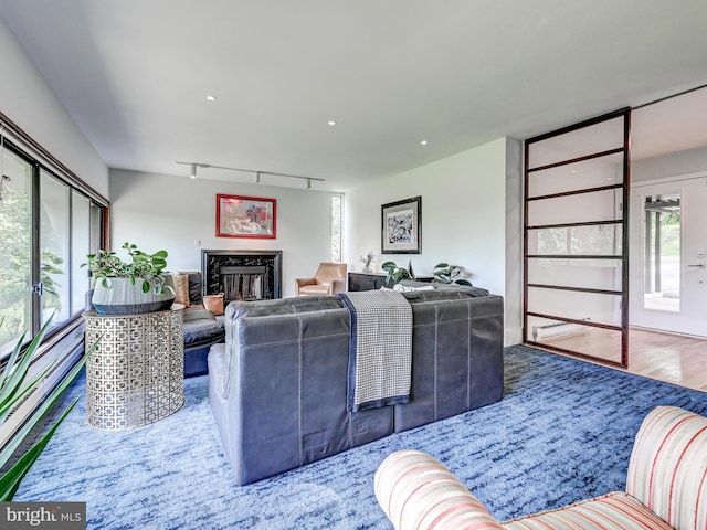 2025 Skyline Rd, Towson, MD 21204 - living room with wood finished floors, a high end fireplace, track lighting, and recessed lighting