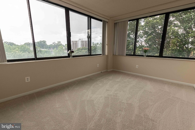 6301 Stevenson Ave Unit 602, Alexandria, VA 22304 - unfurnished room featuring carpet floors and baseboards