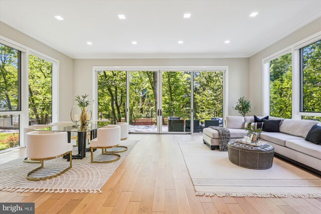 5706 Nevada Ave NW, Washington, DC 20015 - sunroom with crown molding, wood-type flooring, and french doors
