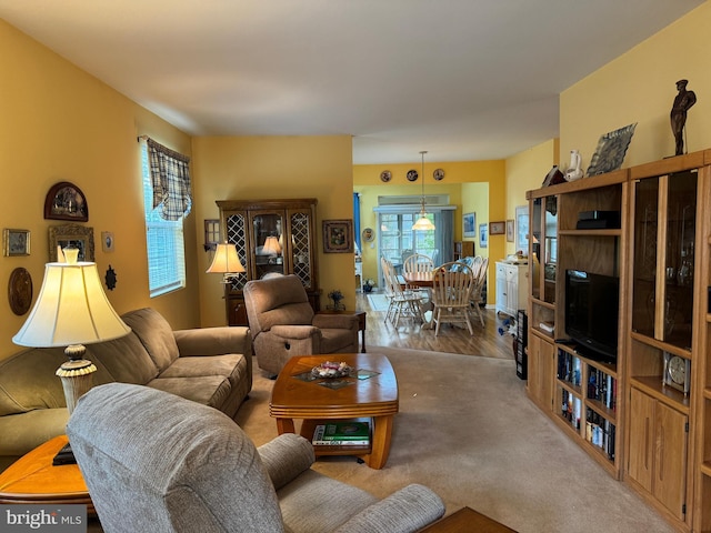 14 Pelican Ln, Tuckerton, NJ 08087 - view of carpeted living room