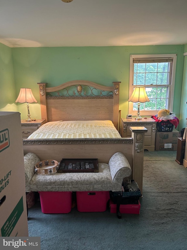 59 Emerald Ln, Willingboro, NJ 08046 - bedroom featuring carpet floors