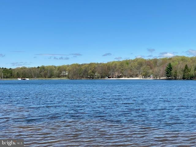 water view featuring a forest