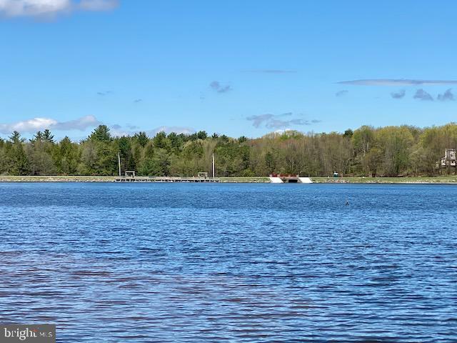 water view featuring a heavily wooded area