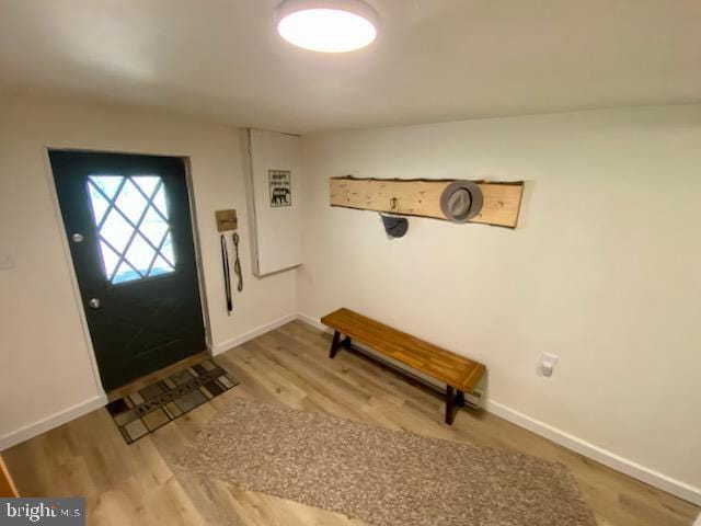 entrance foyer featuring baseboards and wood finished floors