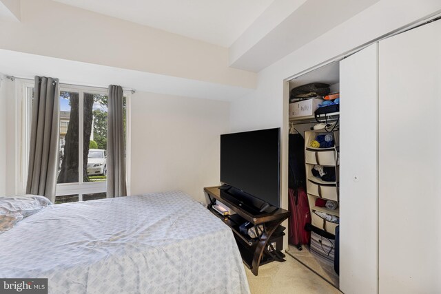 7233 Jillspring Ct Unit 18C, Springfield, VA 22152 - bedroom featuring light carpet and a closet