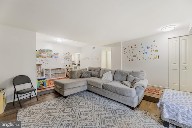 7233 Jillspring Ct Unit 18C, Springfield, VA 22152 - living room featuring wood finished floors