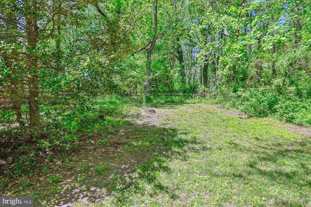 1176 Goldfinch Ln, Millersville, MD 21108 - view of tree filled area