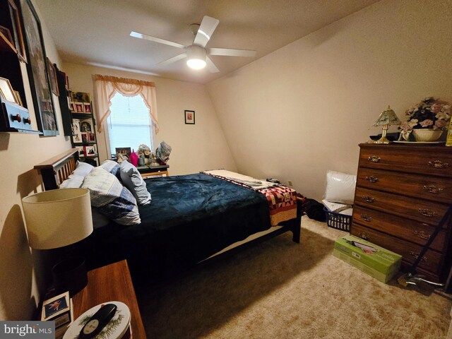 15 Weaver Ln, Brandywine, WV 26802 - carpeted bedroom with a ceiling fan