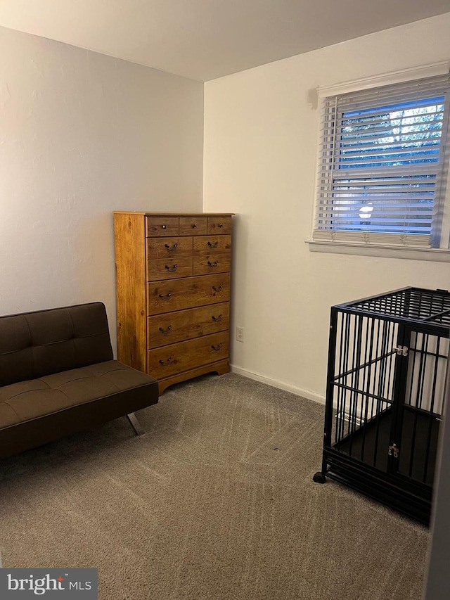 bedroom featuring carpet and baseboards