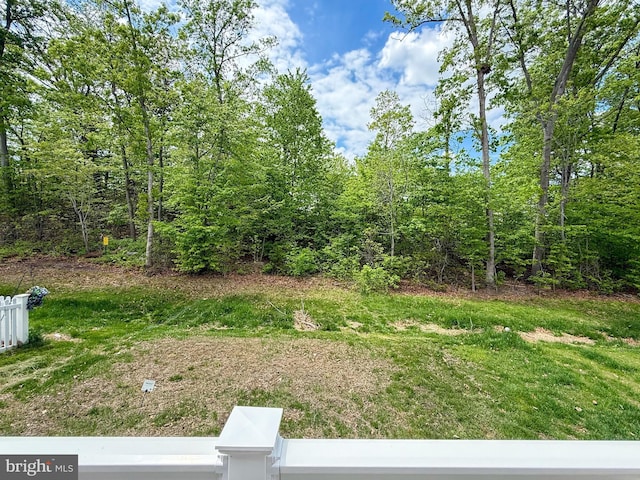 30 Sugarberry Dr, Elkton, MD 21921 - view of yard with fence