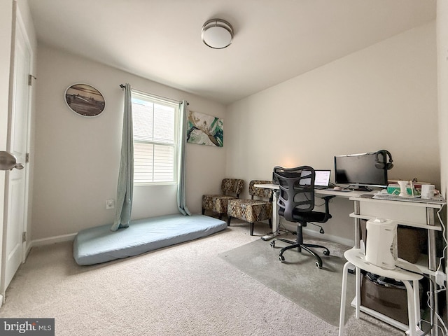 30 Sugarberry Dr, Elkton, MD 21921 - office featuring carpet and baseboards