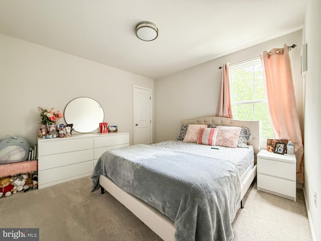 30 Sugarberry Dr, Elkton, MD 21921 - bedroom featuring light colored carpet