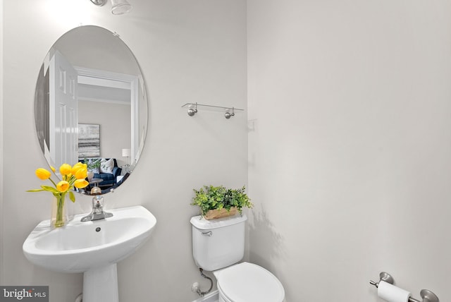 924 Towering Oak Ct, Purcellville, VA 20132 - bathroom with toilet, baseboards, and a sink