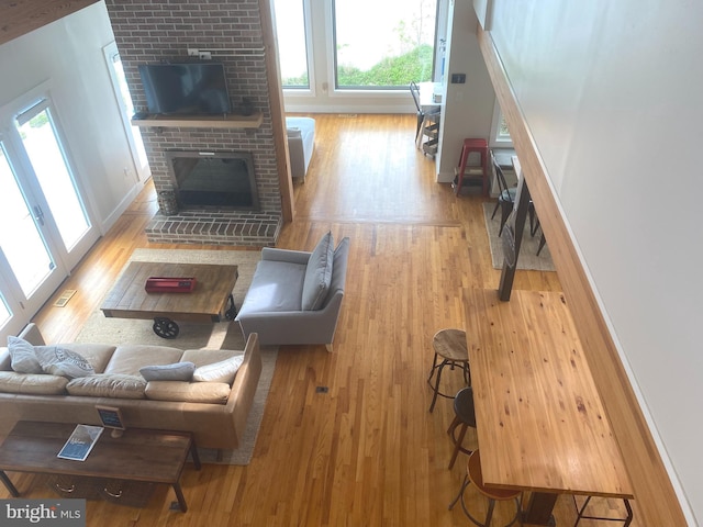 living area featuring wood finished floors, a fireplace, healthy amount of natural light, and baseboards