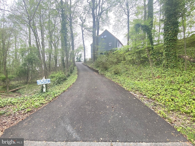 view of asphalt driveway