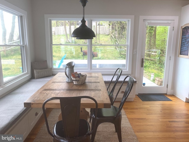 dining room featuring plenty of natural light and light wood-style floors