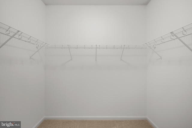 spacious closet with light colored carpet