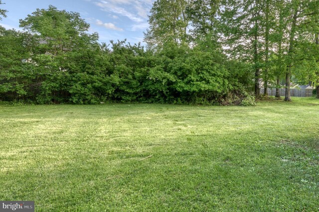 9815 Winands Rd, Randallstown, MD 21133 - view of yard