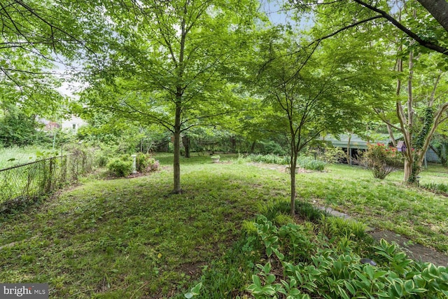 4901 40th Pl, Hyattsville, MD 20781 - view of yard with fence