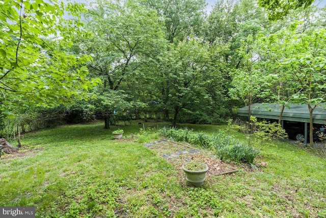 4901 40th Pl, Hyattsville, MD 20781 - view of grassy yard