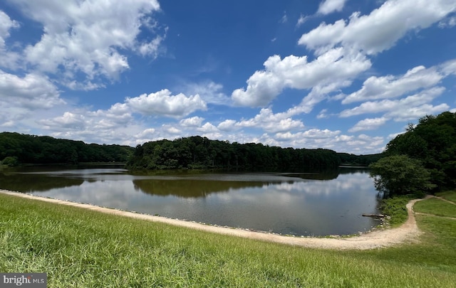 9807 Spillway Ct, Burke, VA 22015 - water view with a heavily wooded area