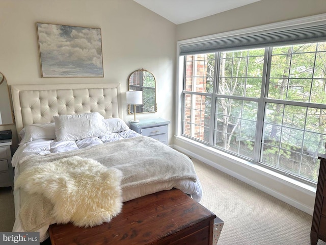 45 Arell Ct, Alexandria, VA 22304 - carpeted bedroom featuring vaulted ceiling and baseboards