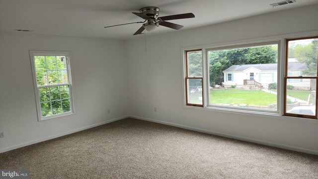 313 Park St, Waynesboro, PA 17268 - unfurnished room with plenty of natural light, carpet flooring, ceiling fan, and baseboards