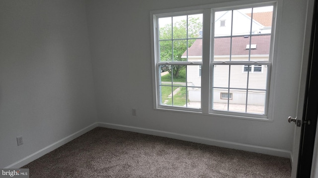 313 Park St, Waynesboro, PA 17268 - empty room featuring carpet flooring and baseboards