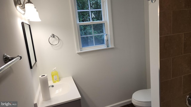 313 Park St, Waynesboro, PA 17268 - bathroom with vanity and toilet